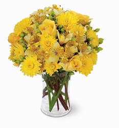 Sunny Day Bouquet In Waterford Michigan Jacobsen's Flowers